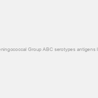 Rabbit Anti-Meningococcal Group ABC serotypes antigens IgG, Unlabeled